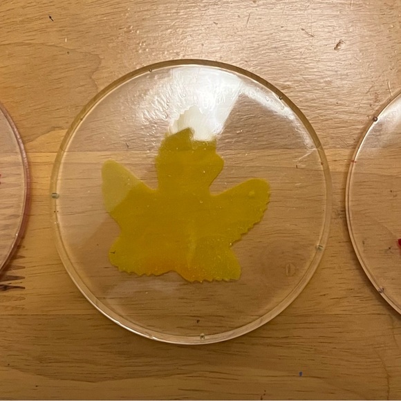 Fall leaf coasters - Picture 3 of 4